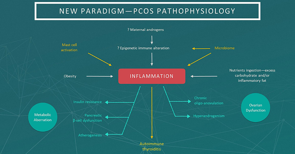 ¿Qué es la Oncología Integrativa? | Health Beyond Protocol ¿Qué es la Oncología Integrativa? – Oncología integrativa y apoyo en cáncer en Mallorca | HBP